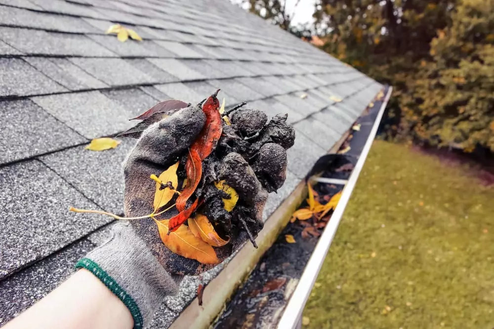 gloved hand holding debris from gutter