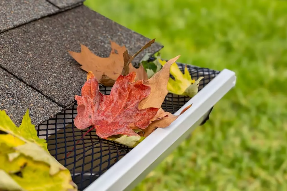 leaves kept out of gutter with gutter guard screen