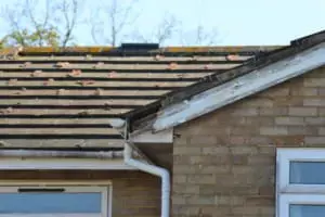 rotting eaves on house with old gutters