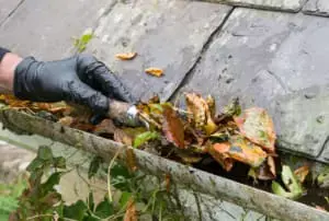 cleaning leaf-filled gutters with gutter trowel