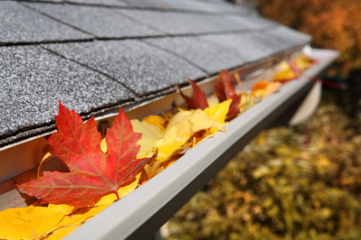 fall leaves in rain gutter