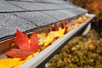 fall leaves in rain gutter
