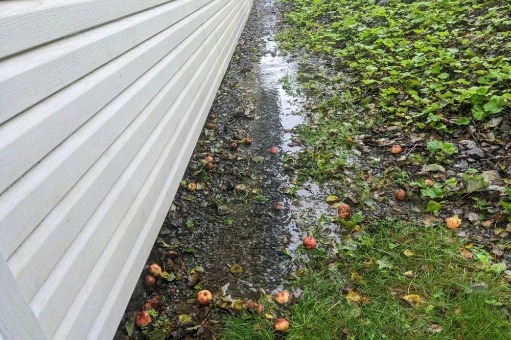 pooling water beside house foundation