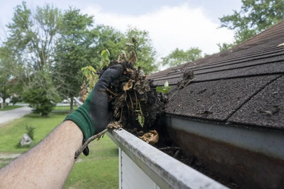gloves can be used as rain gutter cleaning tools