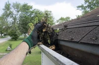 gloves can be used as rain gutter cleaning tools